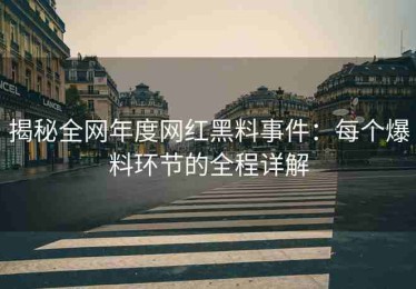 揭秘全网年度网红黑料事件：每个爆料环节的全程详解