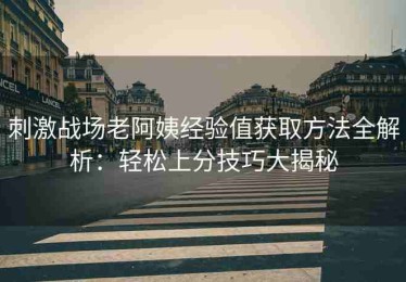 刺激战场老阿姨经验值获取方法全解析：轻松上分技巧大揭秘
