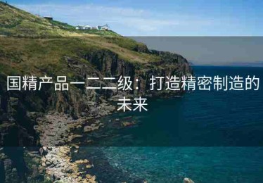 国精产品一二二级：打造精密制造的未来