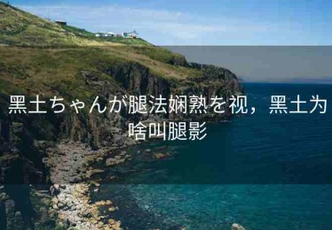 黑土ちゃんが腿法娴熟を视，黑土为啥叫腿影