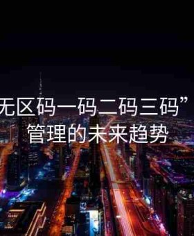 解析“无区码一码二码三码”：高效管理的未来趋势