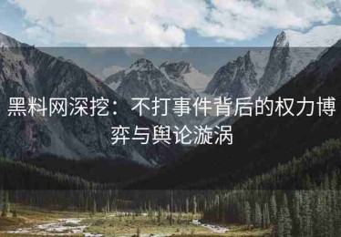 黑料网深挖：不打事件背后的权力博弈与舆论漩涡