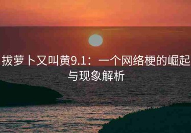 拔萝卜又叫黄9.1：一个网络梗的崛起与现象解析