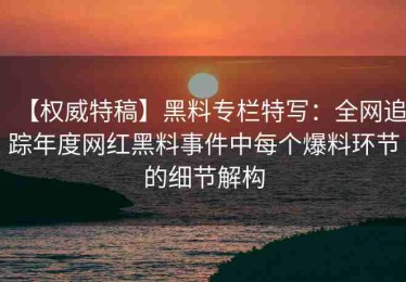 【权威特稿】黑料专栏特写：全网追踪年度网红黑料事件中每个爆料环节的细节解构