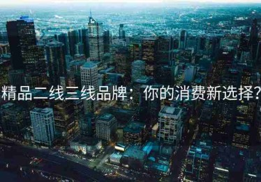 精品二线三线品牌：你的消费新选择？
