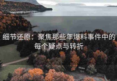 细节还原：聚焦那些年爆料事件中的每个疑点与转折