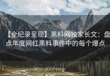【全纪录呈现】黑料网独家长文：盘点年度网红黑料事件中的每个爆点