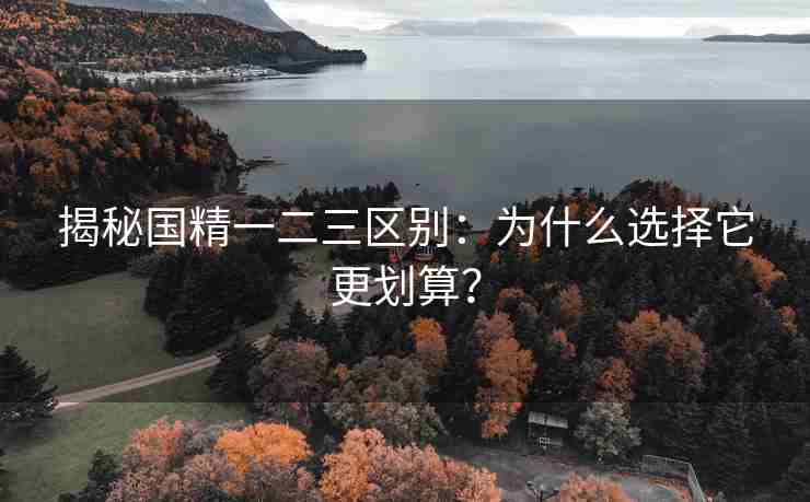 揭秘国精一二三区别：为什么选择它更划算？