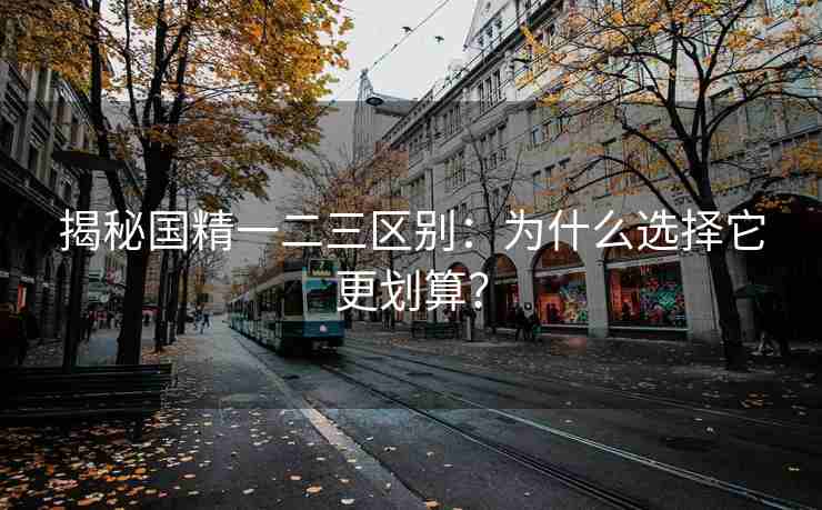 揭秘国精一二三区别：为什么选择它更划算？