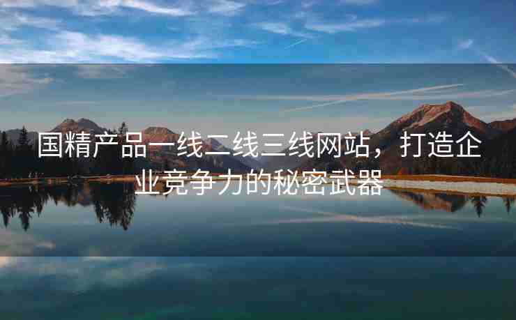 国精产品一线二线三线网站，打造企业竞争力的秘密武器