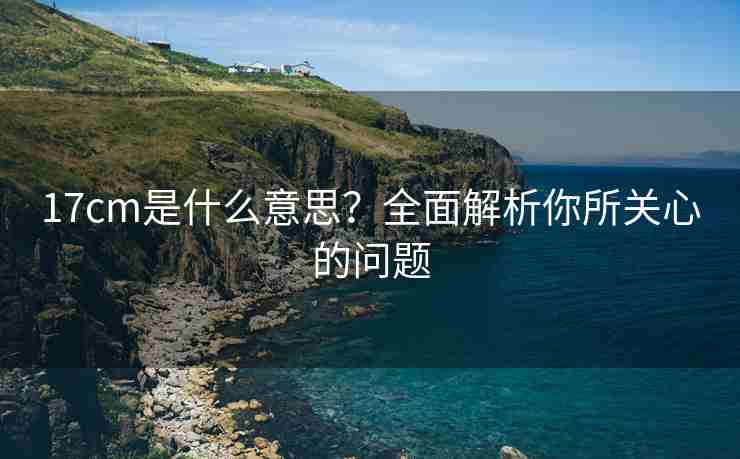 17cm是什么意思？全面解析你所关心的问题