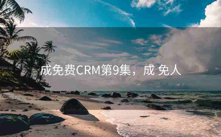 成免费CRM第9集，成 免人