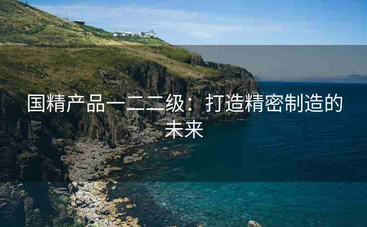 国精产品一二二级：打造精密制造的未来