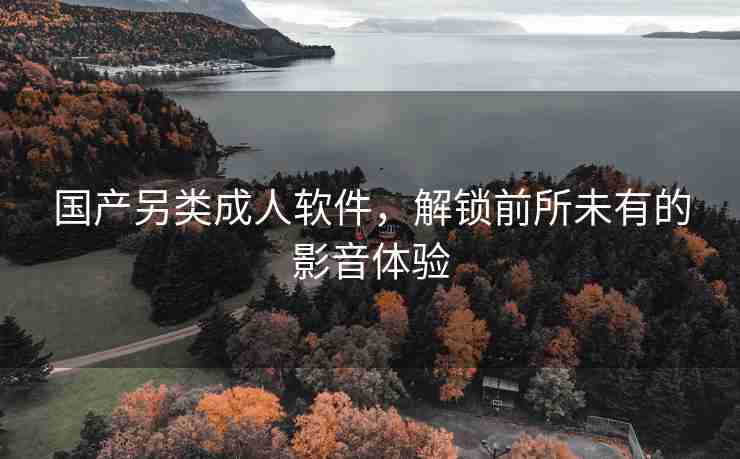 国产另类成人软件，解锁前所未有的影音体验