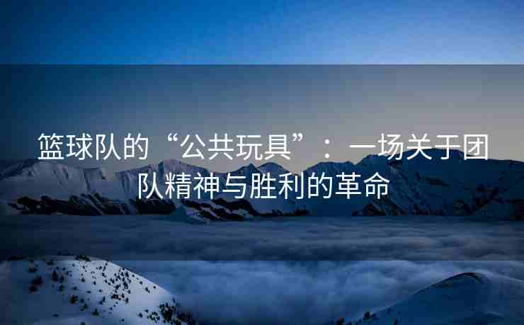 篮球队的“公共玩具”：一场关于团队精神与胜利的革命
