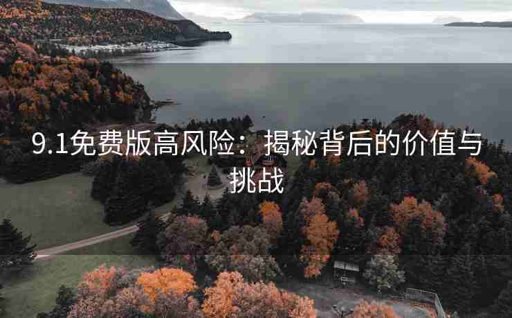 9.1免费版高风险：揭秘背后的价值与挑战